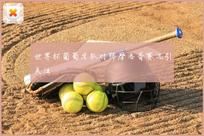 世界杯葡萄牙队对阵摩洛哥赛况引关注