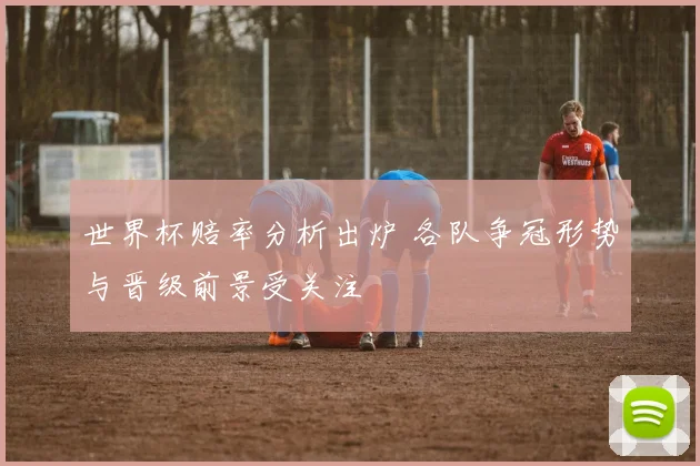 世界杯赔率分析出炉 各队争冠形势与晋级前景受关注